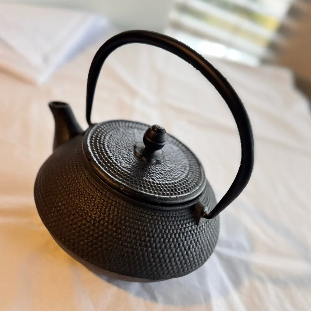 VINTAGE Japanese Cast Iron Teapot - Black Kettle Pot for Tea & Collector